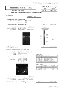 Microbial Genomic DNA