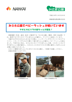 みさき公園でベビーラッシュが続いています
