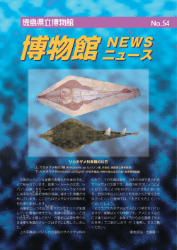 No.54（2004年3月25日発行） PDF形式