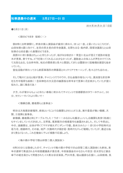 知事選最中の週末 3月27日ー31 日