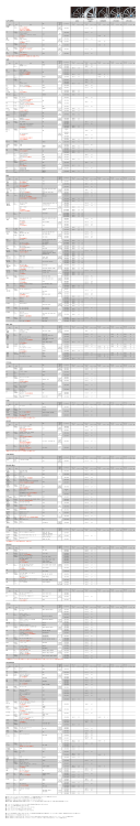 Mercedes Benz rcedes Benz