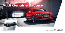 Audi Genuine Battery