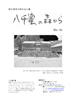 No. 31 - ハチ蜜の森キャンドル
