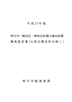 PDF：510KB