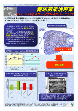 糖尿病治療薬 - 三重大学大学院医学系研究科薬理ゲノミクスHP