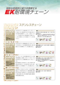 耐環境ローラチェーンカタログ（表2、表2対向ページ）