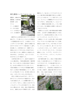 雨乞いの滝エッセイ