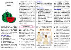第22号8月19日（金