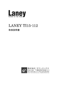 LANEY TI15-112