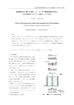 研究報告 [PDF 406KB]
