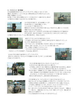 31. タイのひとコマ（乗り物編） 右は高速道路を疾走するピックアップ