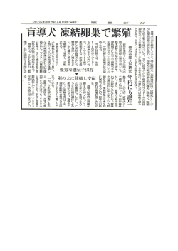 盲導犬不足を解消しょうと、 帯広畜産大 (北海道雑居市) の研究グループ