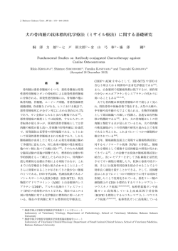 犬の骨肉腫の抗体標的化学療法（ミサイル療法）に関する基礎研究