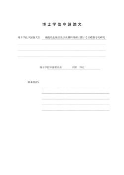 博士学位申請論文