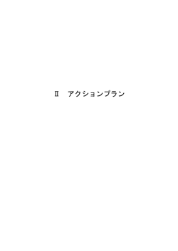 アクションプラン1(PDF文書)