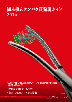 組み換えタンパク質発現ガイド - Sigma