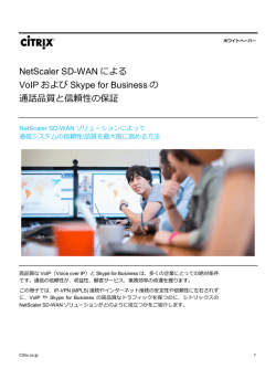 NetScaler SD-WAN による VoIP および Skype for Business の