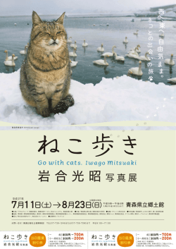 ねこあるき展チラシ裏 2