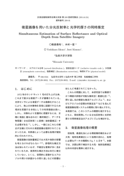 衛星画像を用いた分光反射率と光学的厚さの同時推定