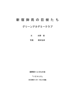 新宿御苑の巨樹