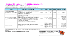 【バルセロナ発】 トマティーナ･ツアー特別限定
