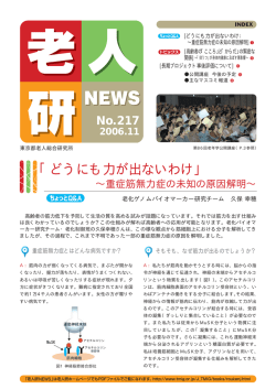 No.217 平成18年11月発行(pdf 456KB)