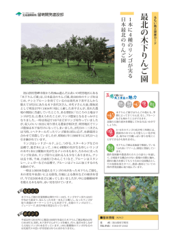 最北の木下りんご園