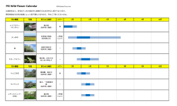 花カレンダーでお花の時期を確認できます！