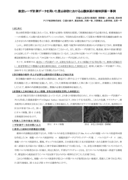 航空レーザ計測データを用いた里山砂防における山腹斜面の樹林評価一
