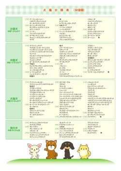 犬種分類表