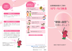 API・AVI検査