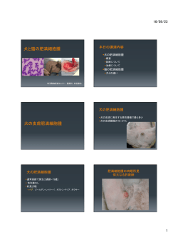 犬と猫の肥満細胞腫 - 埼玉動物医療センター