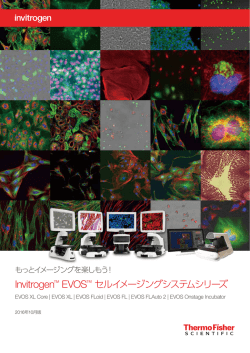 PDF: 1288KB