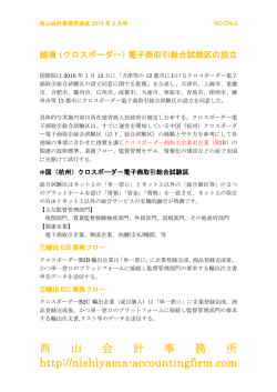 CN-3越境電子商取引総合試験区の設立