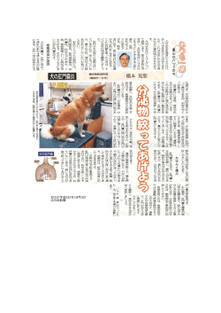 犬がお尻毒面にこすり付け るしぐ夏見たことはありませ んか。 これはお尻