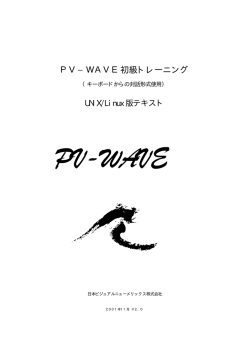 PV&minus;WAVE初級トレーニング