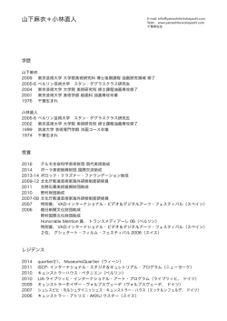 PDF CV