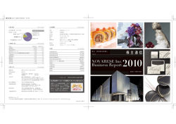 Business Report2010