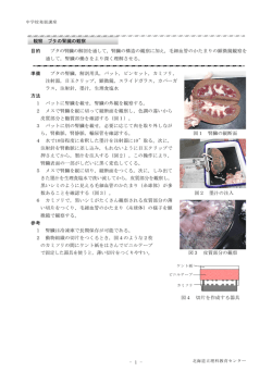 ブタの腎臓の解剖を通して - 北海道立理科教育センター