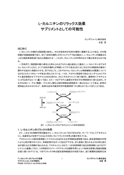 L-カルニチンのリラックス効果 サプリメントとしての可能性(PDF:155KB)