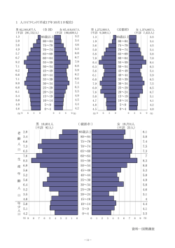 人口ピラミッド・人口階級の比較・国勢調査人口推移（PDF