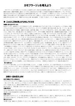 PDF版カモフラージュを考えよう