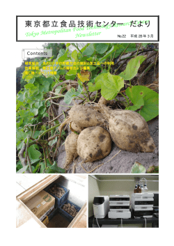 No.22 （PDF形式，547KB）