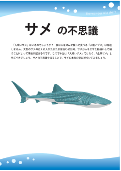 サメの不思議