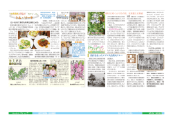 （カフェ・バー トム・ソーヤ）、ひろがれ絵手紙の輪、折おりの花～狛江の植物