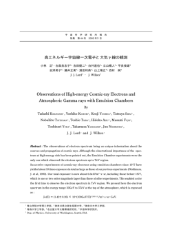 高エネルギー宇宙線一次電子と大気&gamma;線の観測 Observations of High