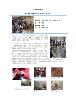 (2011年4月) 【PDF版】