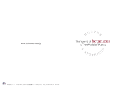 カタログをダウンロードする