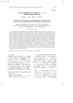 本文PDF - J