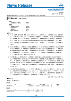 BBB+ - 日本格付研究所